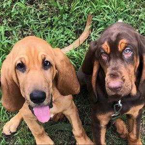 Meet your Posher, Leah